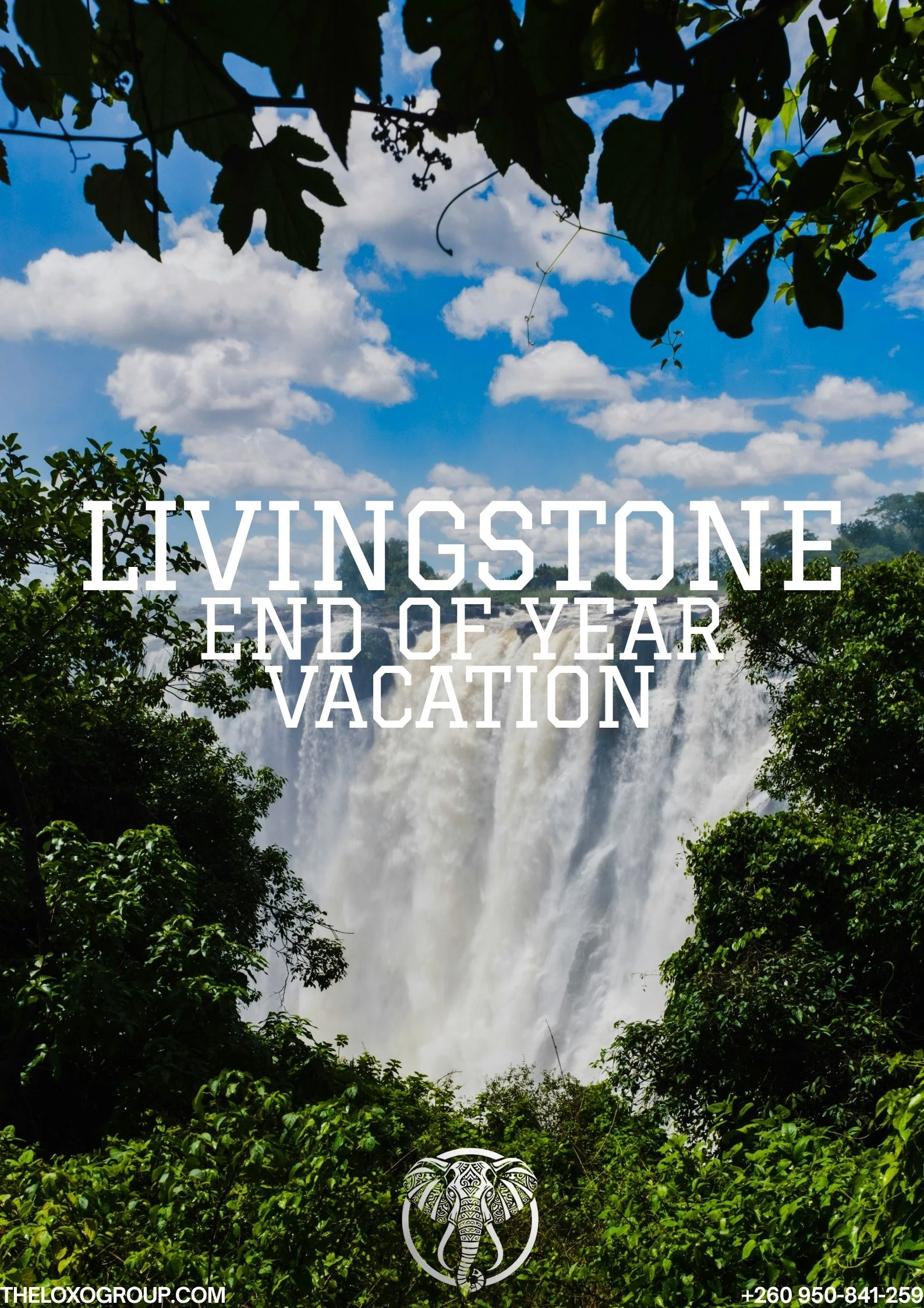 Livingstone ~ End of Year Vacation